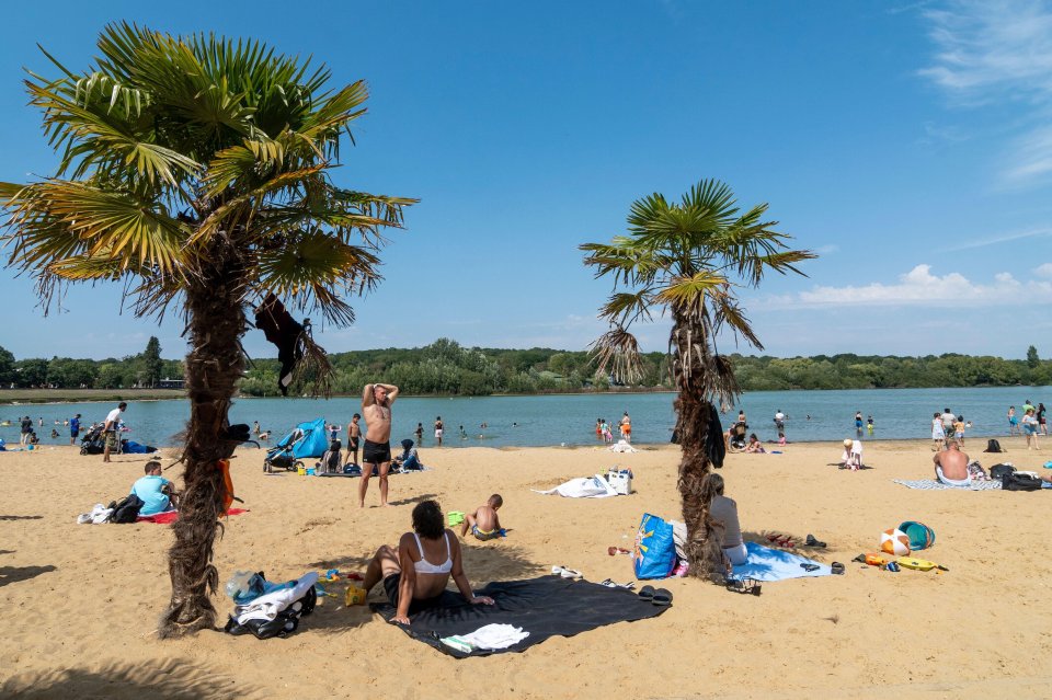 People enjoying the sunshine at a beach with palm trees and a lake.