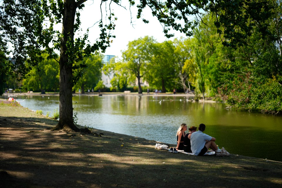 People sitting in the shade by a pond in Regent's Park.