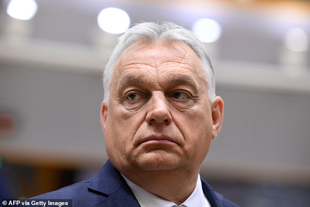In an interview with the Patriot YouTube channel, he said: 'We are talking now as if this were an open-ended war situation, but it is not. The Ukrainians have lost the war