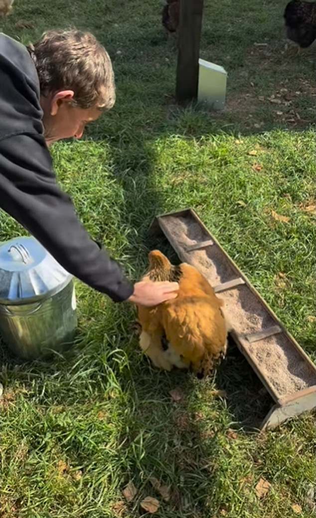 Since moving across the pond, DeGeneres has reportedly fallen in love with the rural nature of the Cotswolds, and she regularly documents herself riding her lawnmower and feeding her chickens and sheep on Instagram