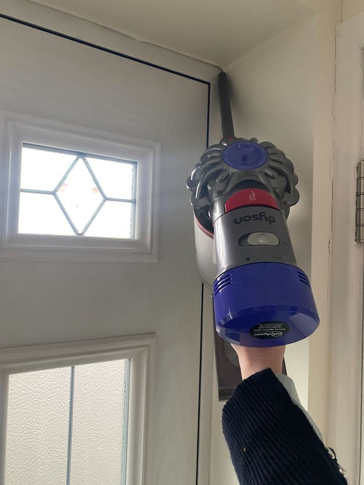dyson-v8-animal-review