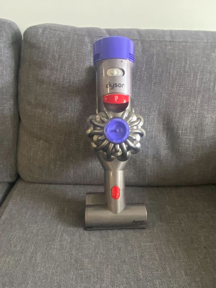 dyson-v8-animal-review
