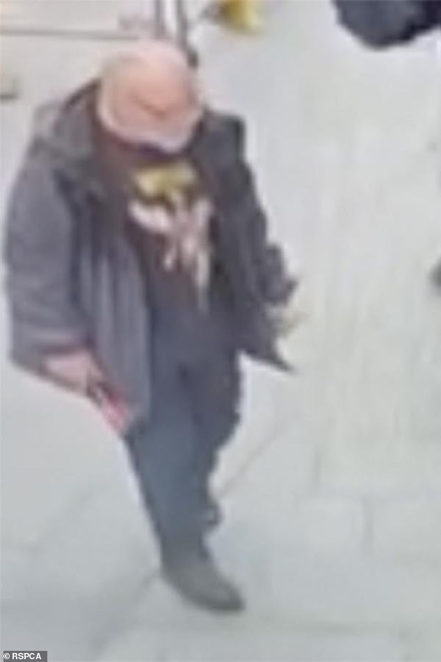 The man the RSPCA are looking to speak to in relation to the seagull death in Liverpool