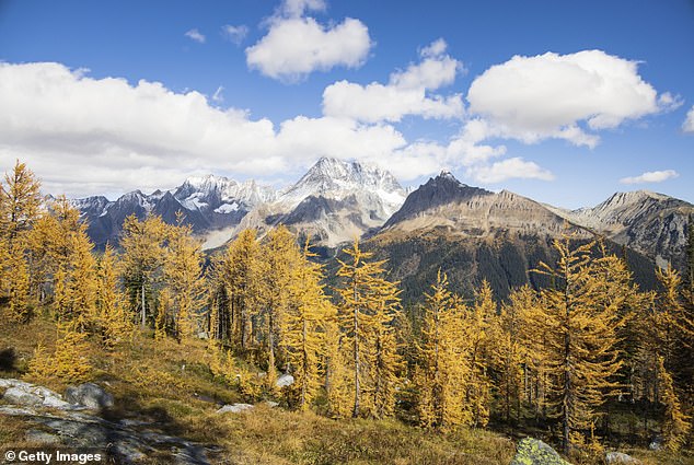They were off-roading in the mountain region near Trout Lake in British Columbia (pictured)