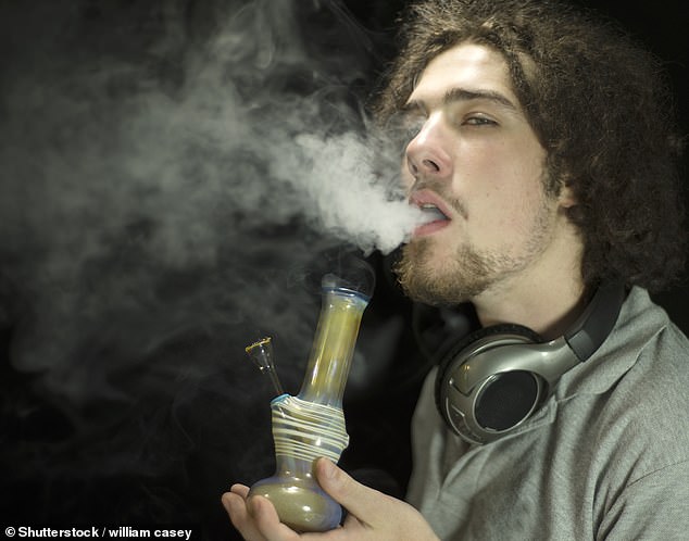 Approximately 18 millions Americans report using cannabis products on a daily basis (Stock Image)