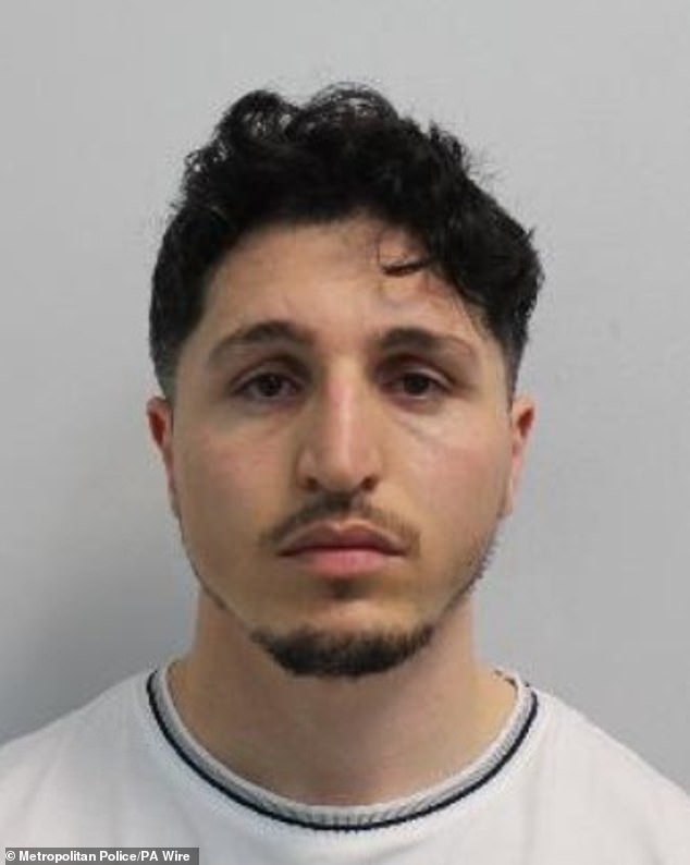 In a statement submitted to the court, the victim said she hasn't been able to return to her home since the kidnapping, spending the rest of her pregnancy sleeping on her sister's sofa. Pictured: Ahmad Ghiasi