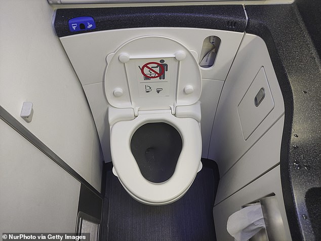 The flight crew allowed Reinertsen to stay in the bathroom for the entire flight. They even got special clearance from the pilot to allow her to remain where she was for landing