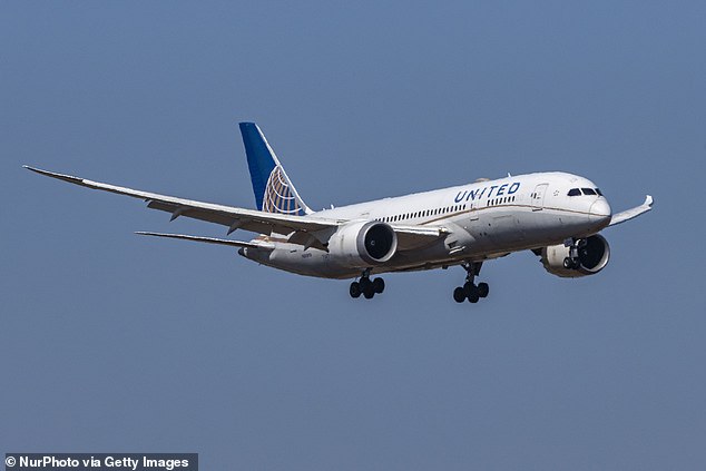 The United flight crew allowed Reinertsen to stay in the bathroom for the entire flight. They even got special clearance from the pilot to allow her to remain where she was for landing