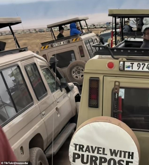 This TikTok image shows dozens of 4x4s queueing up in the same destination in a bid to catch a glimpse of majestic safari animals in their natural habitat