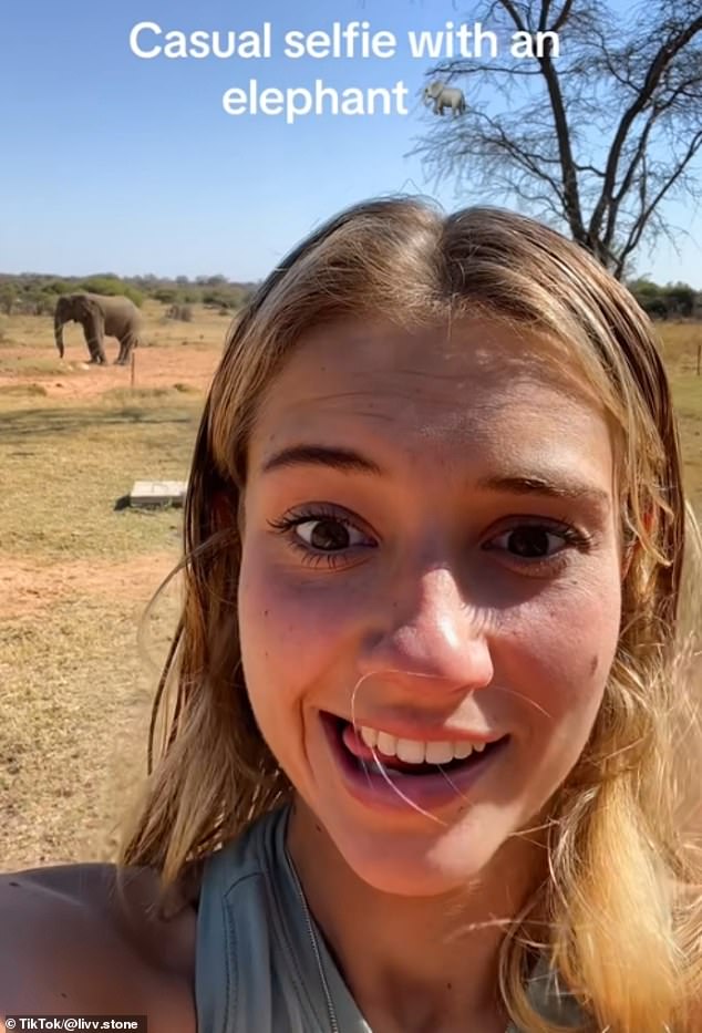 Selfie flex: Posing with the Big Five in their natural habitat has seen some tourists attempting to take drones - largely banned in most safari destinations - on to the plains (Pictured: A tourist takes a photo with an elephant)