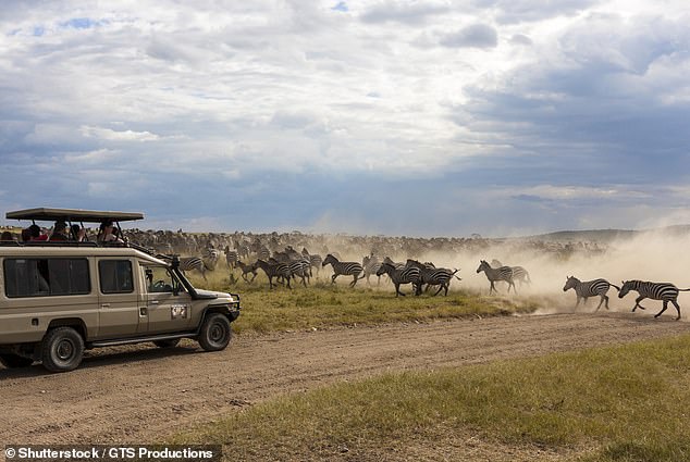 Migration season can be one of the busiest times for tourism, but choose an off peak period and you'll find rich rewards...with less tourists