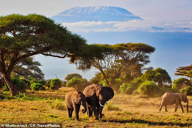 Finding solitude is possible, says safari expert Calvin Cottar, who co-owns British company Cottar¿s Safaris