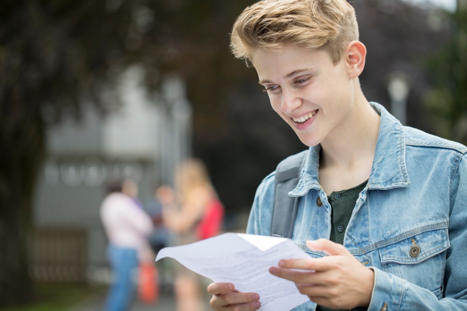 Happy teenage boy reviewing good exam results.