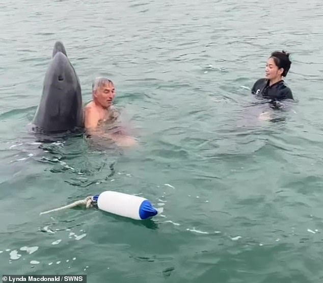 The footage shows the playful mammal dancing across the water in a vertical position, asking for belly rubs and guiding people across the water with its nose