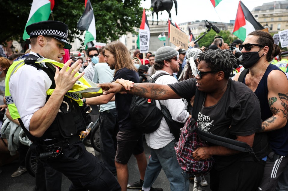 Protestors clashing with police at a pro-Palestinian rally.