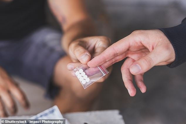 In recent months, the cathedral and its grounds have been overrun with petty criminals pushing a range of Class A drugs (stock photo)