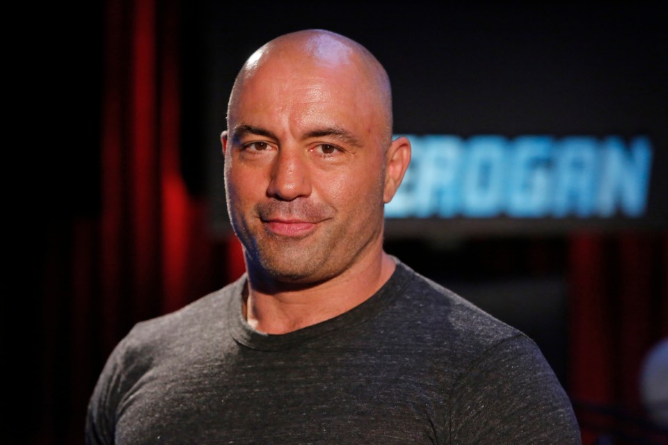 Photo of Joe Rogan.