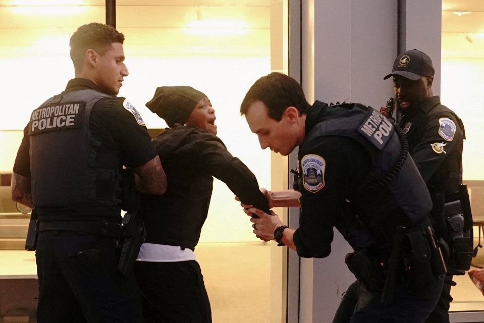 DC Metropolitan Police officers detaining a person.