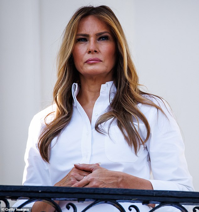 The first lady's lawyer Alejandro Brito called Hunter Biden's comments 'false, defamatory, and lewd'