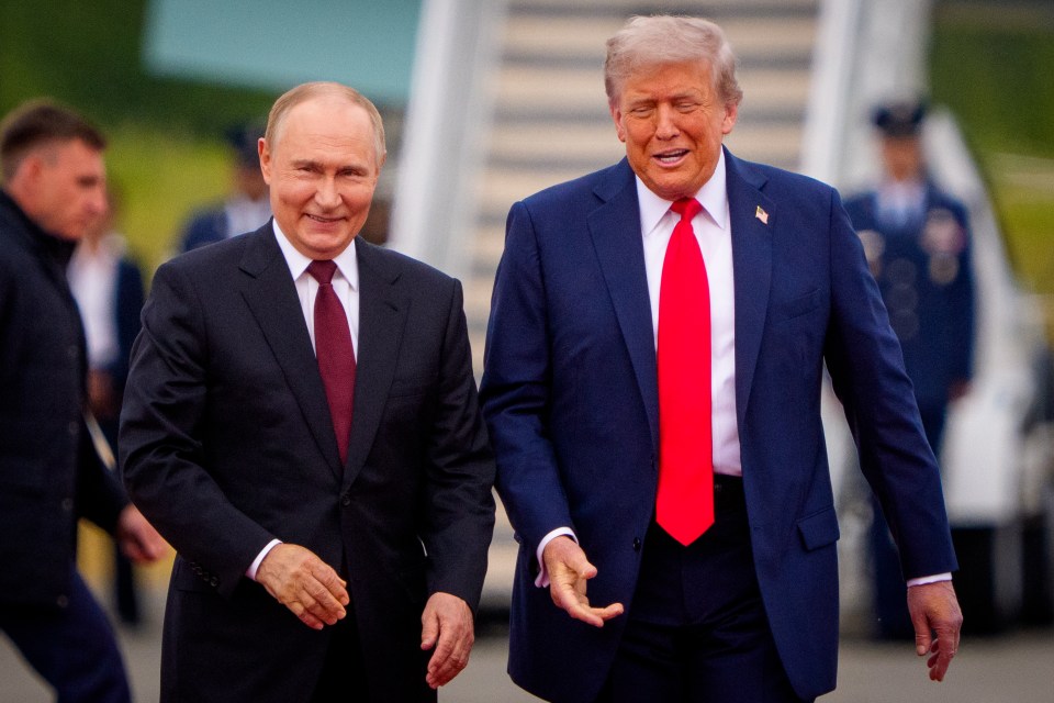 Presidents Putin and Trump at a peace talk.