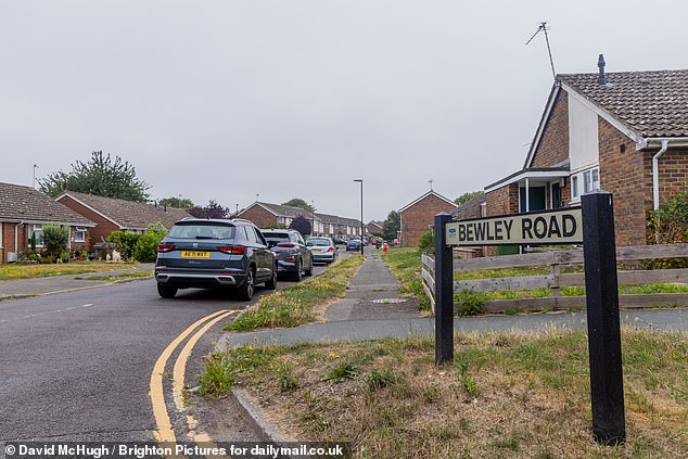 Angela said that Bewley Road is the 'last bit of the village which hasn't been developed'