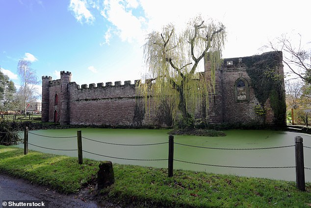 The Grade II-listed property, built in the 18th century, has six bedrooms, a swimming pool and 20 acres of land
