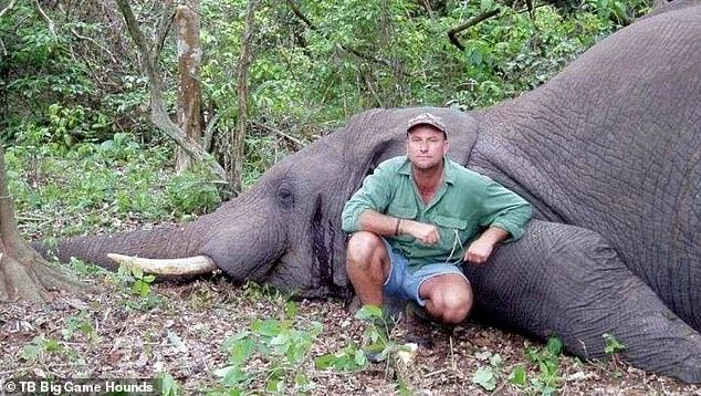 Theunis Botha, was crushed to death by an elephant that had been shot by a member of his hunting group