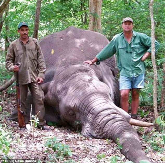 According to reports, Botha was a frequent traveller to the United States, where he would often go to convince rich clients to take part in trophy hunting