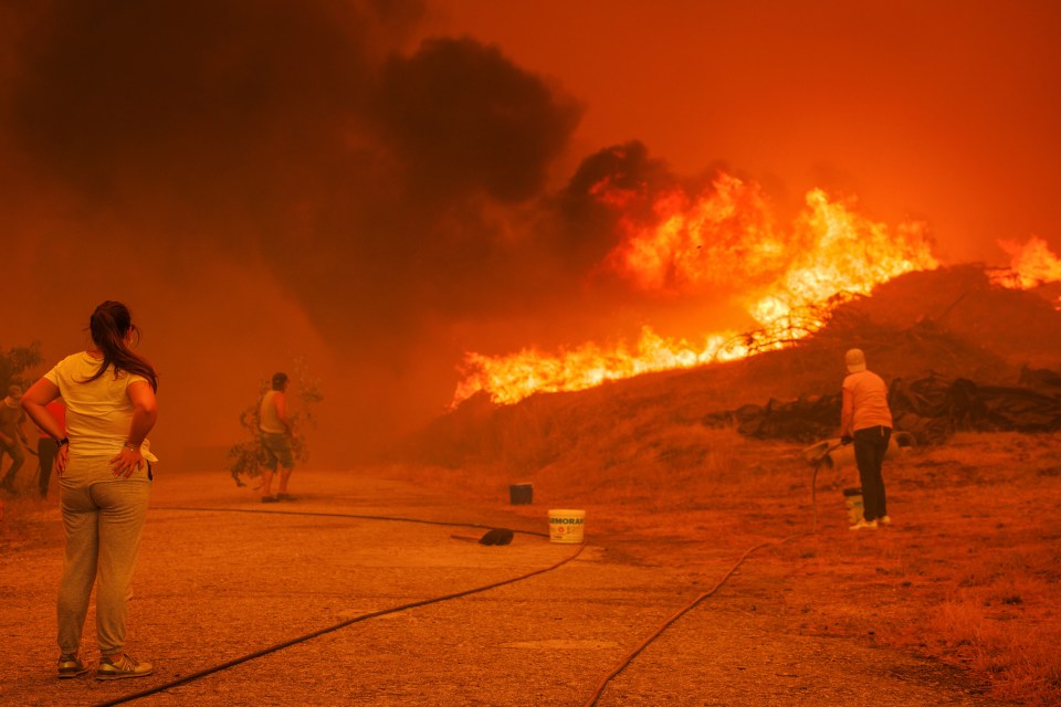 People fighting a large forest fire.