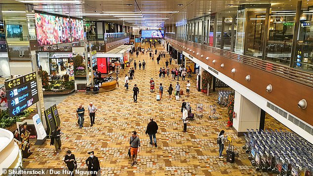 She revealed she was shocked to learn there were outside tours offered by the airport for free