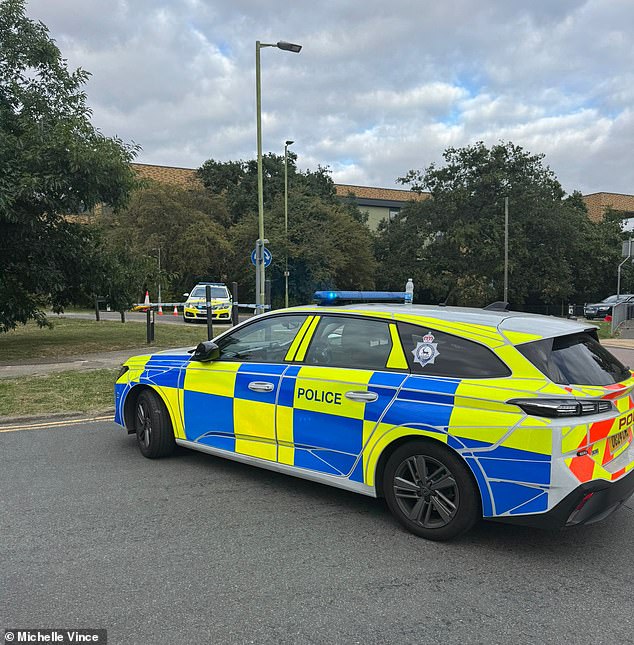 One witness was told by a police officer at the scene that the incident was 'connected to a particular address', but could not provide further detail at this time