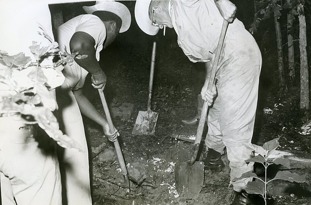 Pictured: Investigators search for bodies in Texas. At least 28 boys were murdered by the serial killer Dean Corll and his two younger accomplices
