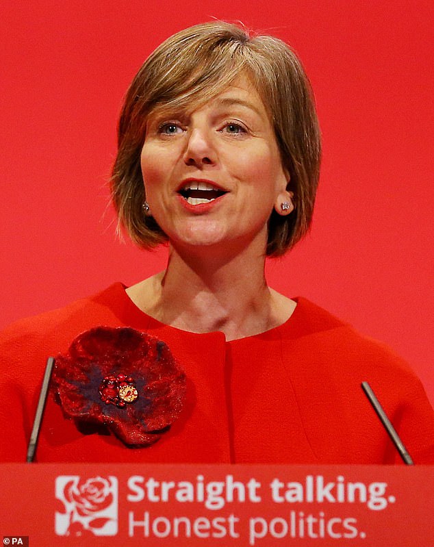 Lilian Greenwood, the roads minister, said the government was considering its 'next steps' and that the work had been 'put on hold'