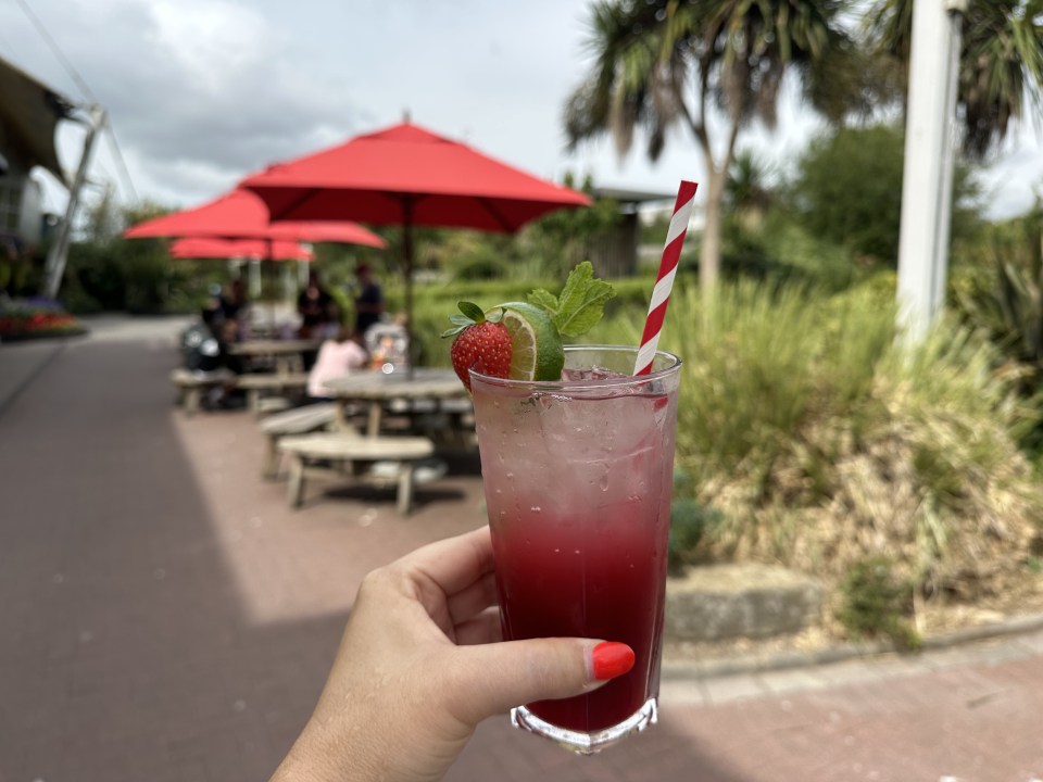A hand holding a strawberry-lime beverage outdoors.