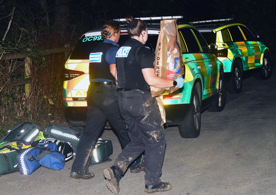 The alarm was raised at around 6pm last night