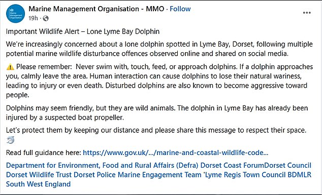 Marine Management Organisation shared concerns for the safety of the sea creatures and urged tourists to stay away from the animals in a recent Facebook post
