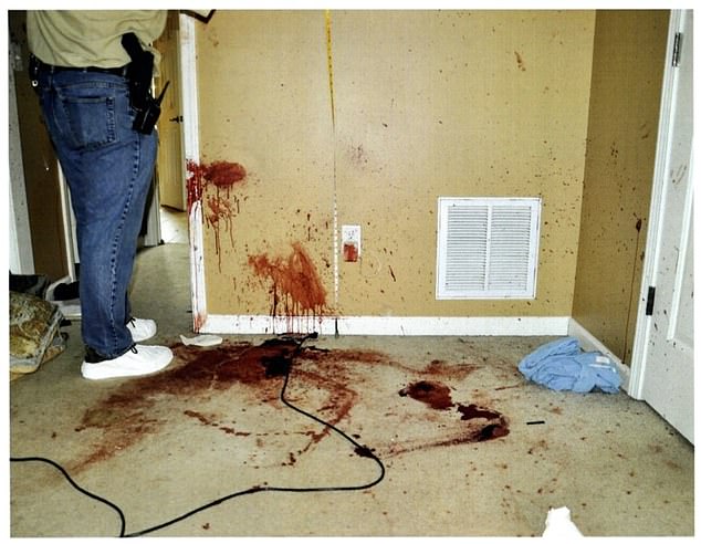 Descending pattern of blows on the south wall in the room where Jason Corbett was killed