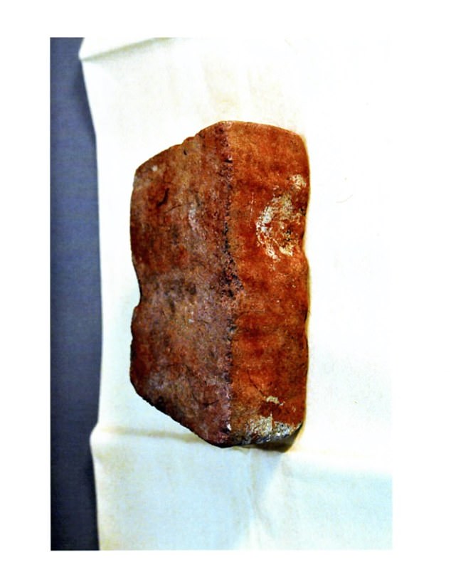 Forensic scientist Melanie Carson had found 25 hairs on the brick. All but one of them were Jason¿s. Pictured: The bloodstained brick used in killing