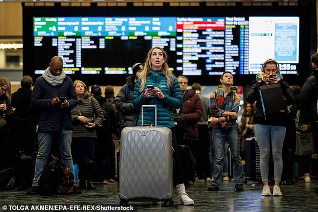 Ben Plowden, chief executive of the lobby group Campaign for Better Transport, said: ‘Rising fares are not just burdening passengers, they are putting people off rail travel' (file image)
