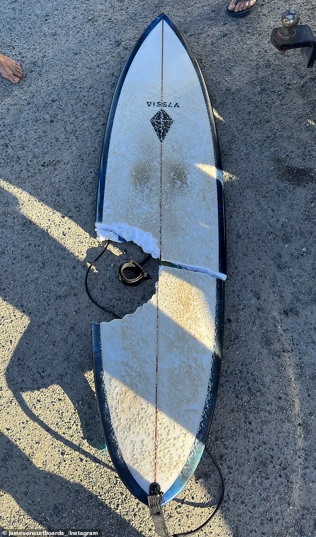 A large bite was taken out of Mr Ross' surfboard (pictured)