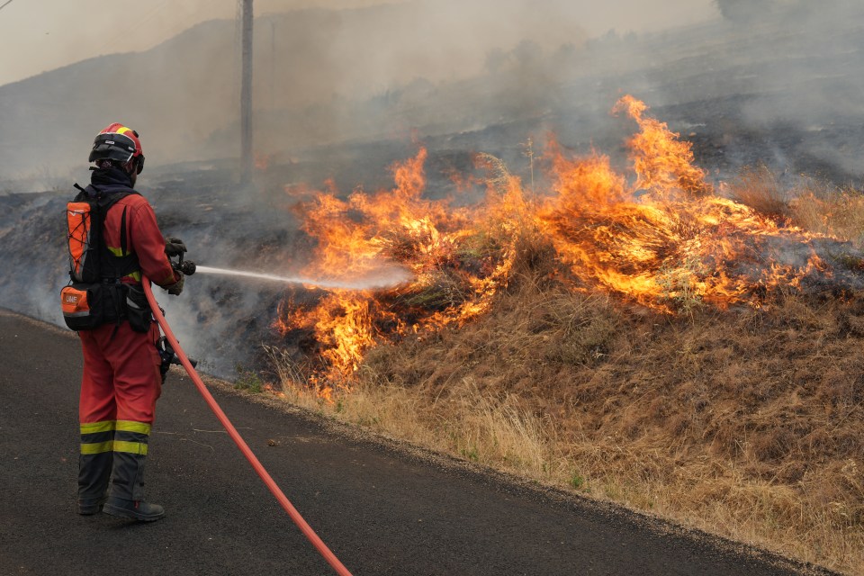 Firefighter battling wildfire in Spain.