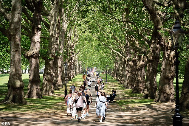 Stamp said he wanted to be cremated and have his ashes scattered in London's Green Park