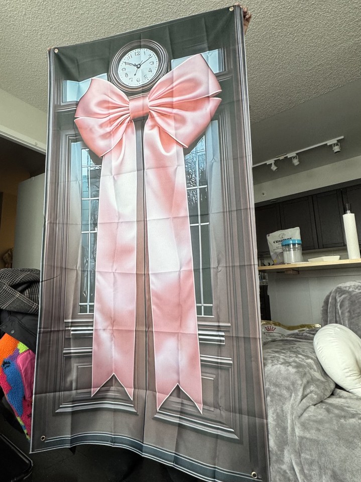 Illustration of a large pink bow on a dark gray door.