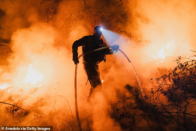A forest brigadier uses a hose to extinguish flames during a wildfire in Ribadavia, Ourense, Galicia, Spain on August 18, 2025