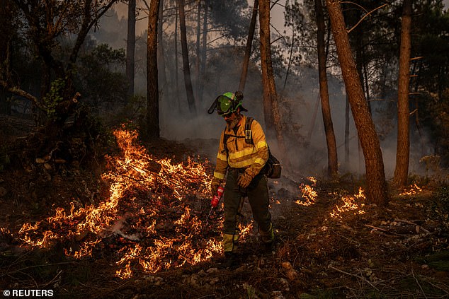 Jorge Fernandez of Granada's 401st BRICA carries out a controlled burn in the village of San Martino de Alvaredos, Lugo area, Galicia region, Spain, August 17, 2025