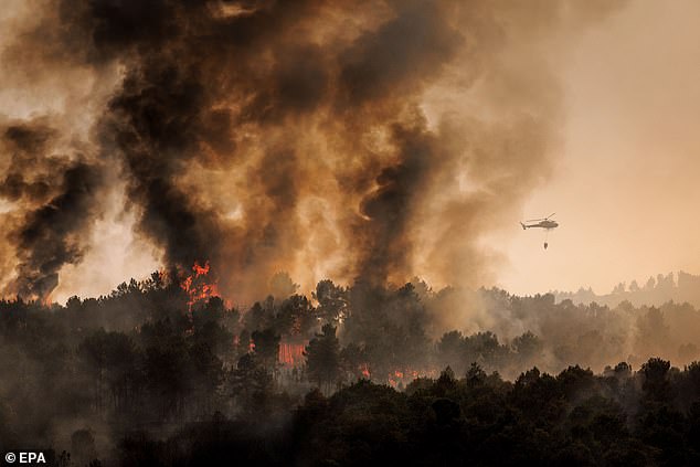 A firefighting helicopter flies over a fire in Tarouca, Viseu, Portugal, 17 August 2025
