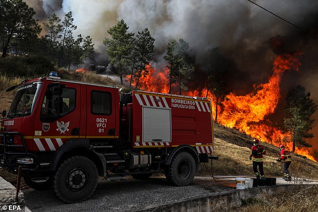 Firefighters battle a forest fire in aldeia de Meas, at Pampilhosa da Serra, Portugal, 17 August 2025