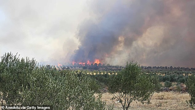 Turkey's forestry minister Ibrahim Yumakli confirmed that crews battled at least 44 separate fires on Sunday alone