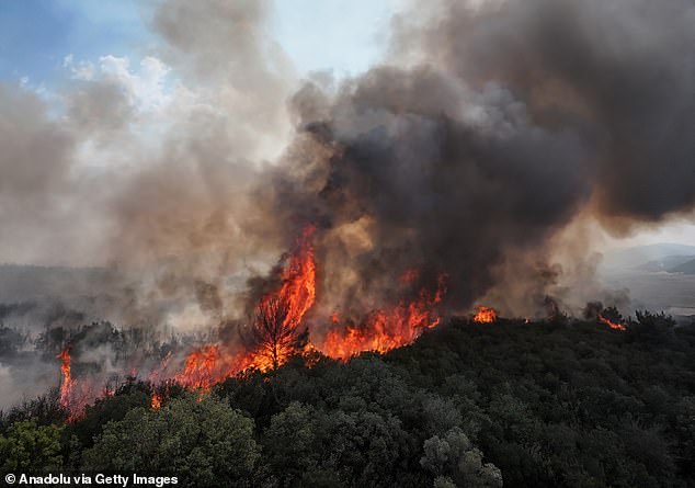 Smoke from the fire area fills the sky as firefighters and Turkish General Directorate of Forestry teams continue their efforts to extinguish the fire, which started in a forested area in the Eceabat district of Canakkale, Turkey, August 17, 2025