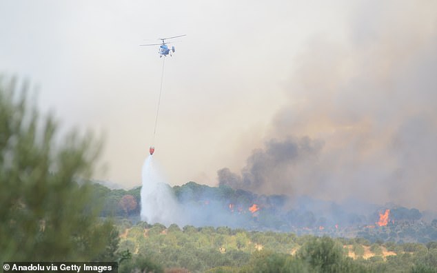 At least 17 people have been killed in the apocalyptic wildfires as record-breaking 50C heat and howling winds fuel devastation across the eastern Mediterranean